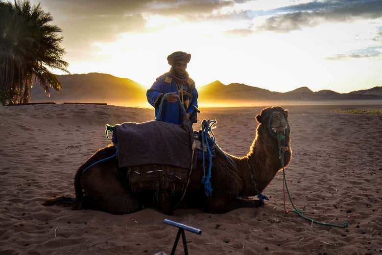 Excursión privada al desierto