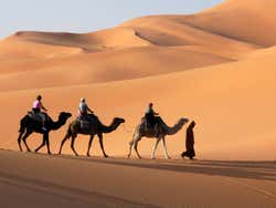 Desierto, paseando en camello