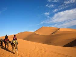 Excursion al desierto de Merzouga, camellos
