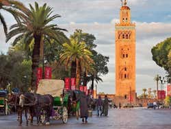 Calesas junto a la Koutoubia