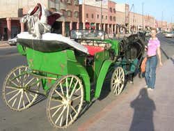 Paseo en calesa por Marrakech