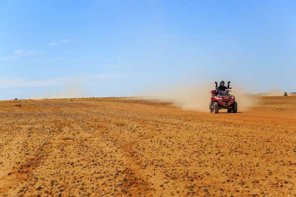 Tour en buggy + Paseo en camello